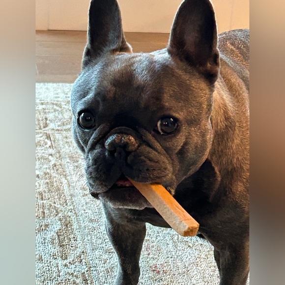 Meet your Posher, Sara - Picture 2 of 3